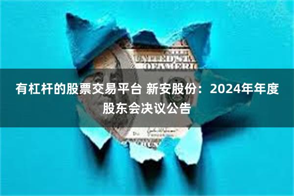 有杠杆的股票交易平台 新安股份：2024年年度股东会决议公告
