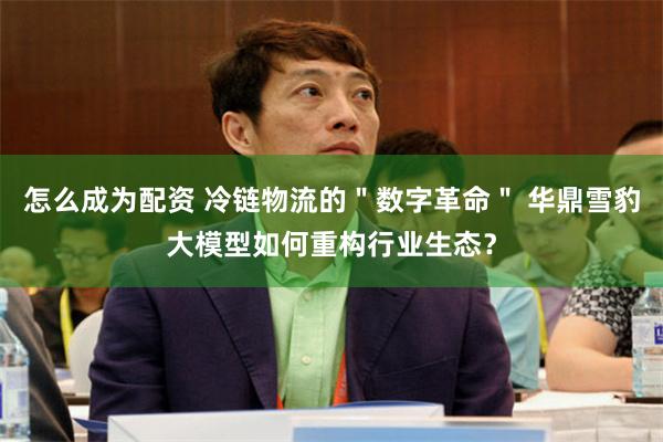 怎么成为配资 冷链物流的＂数字革命＂ 华鼎雪豹大模型如何重构行业生态？
