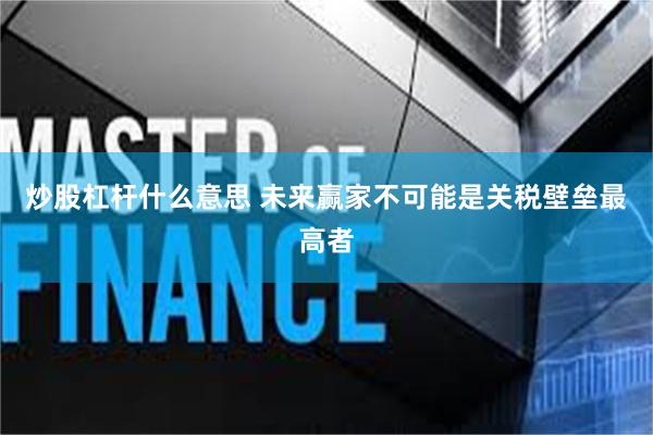 炒股杠杆什么意思 未来赢家不可能是关税壁垒最高者