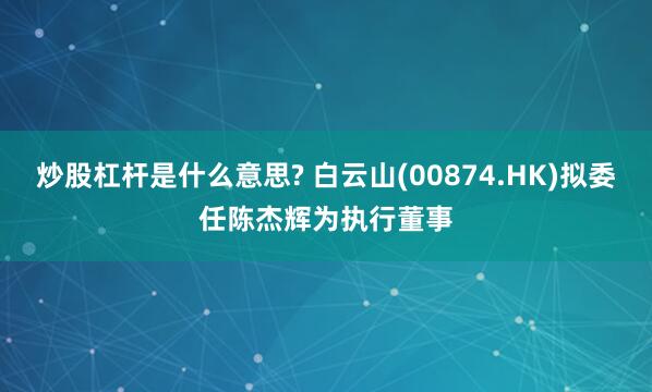 炒股杠杆是什么意思? 白云山(00874.HK)拟委任陈杰辉为执行董事